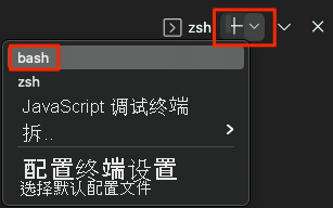 Visual Studio Code 的屏幕截图，显示了 Bash shell 的位置。