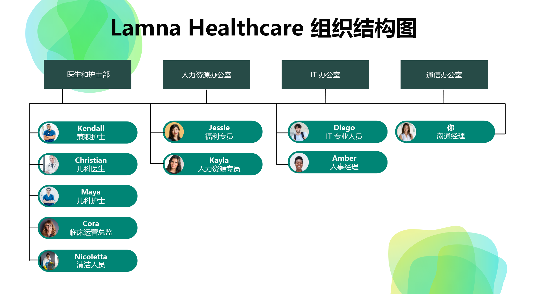 图示显示简化的 Lamna Healthcare 组织结构。