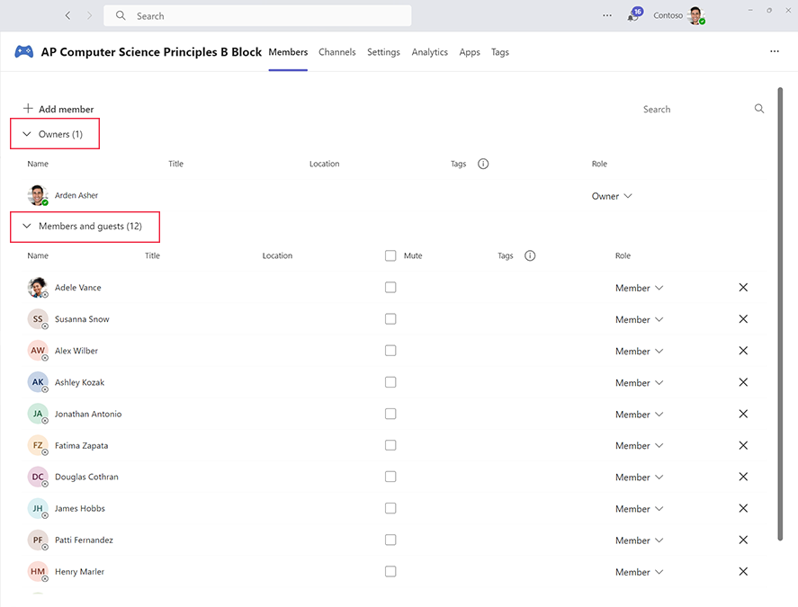 Screenshot of the area to manage owners and members in Microsoft Teams.