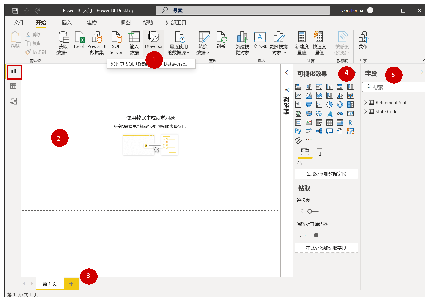 “报表”视图区域