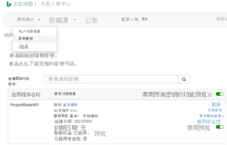 必应地图开发人员中心门户的屏幕截图，其中已选择“我的密钥”页，并显示开发人员密钥详细信息。