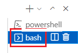 Visual Studio Code 终端窗口的屏幕截图，其中选中了 bash 终端。