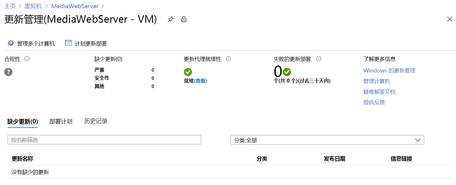 “更新管理”页面的屏幕截图，其中显示了 VM 的更新状态。