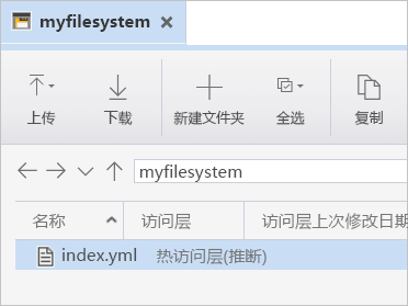 显示已上传的文件的屏幕截图。