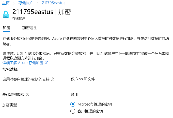 显示 Azure 存储加密（包括由 Microsoft 管理的密钥和客户管理的密钥）的屏幕截图。