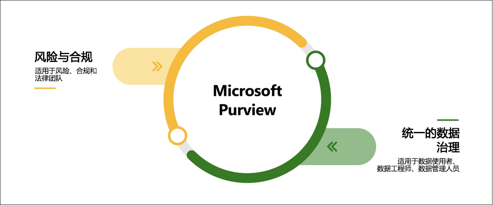 图示显示 Microsoft Purview 的主要领域。