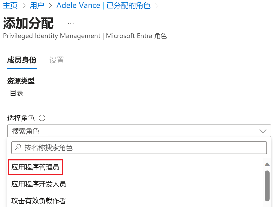 “分配的角色”页的屏幕截图 - 显示了应用程序管理员的选定角色。
