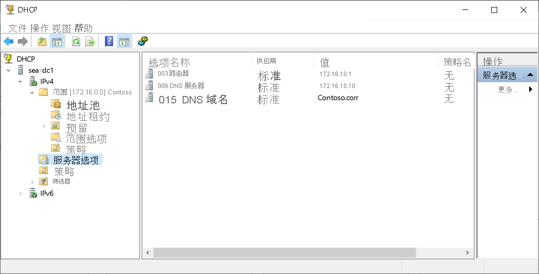 A screenshot of the DHCP console. The administrator has selected the Server Options node in the navigation pane. Three options are displayed: 003, 006, and 015.