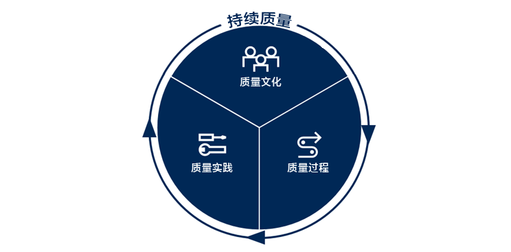 关系图显示持续质量包括质量文化、质量过程和质量实践。