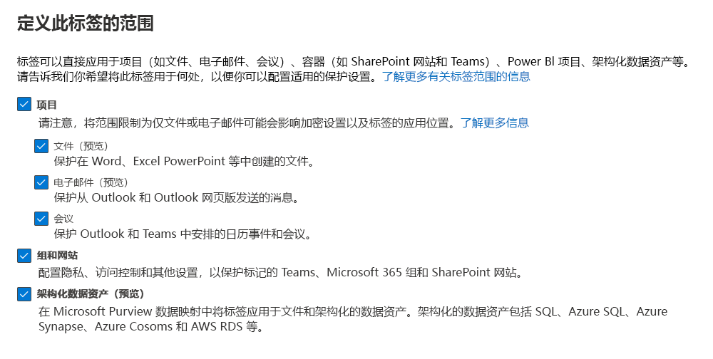 显示用于定义标签范围的 Azure Purview 资产选项的屏幕截图。