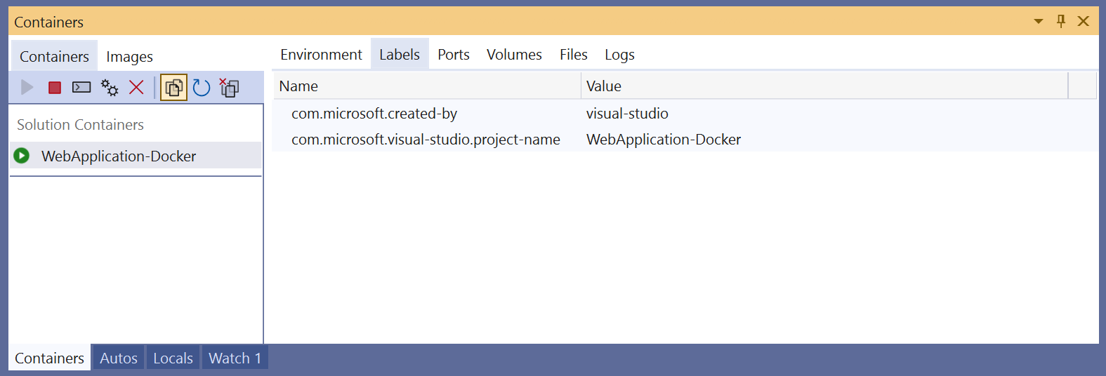 Visual Studio 中“容器”窗口的屏幕截图，其中显示“标签”选项卡。