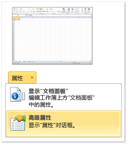 Excel 中的“高级”属性。