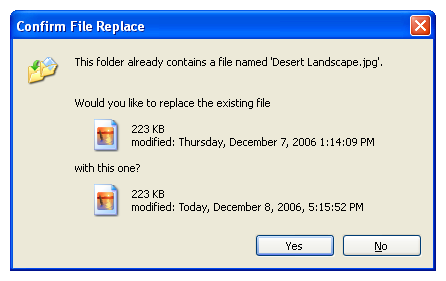 “确认文件替换”对话框的屏幕截图 
