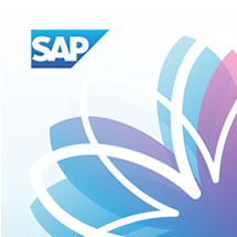 合作夥伴應用程式 - SAP Fiori 圖示