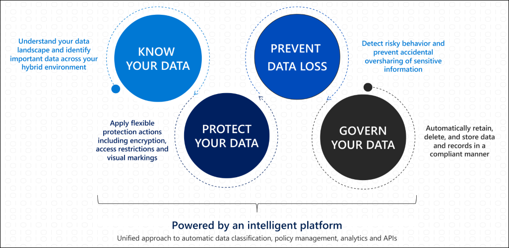 Microsoft Purview 資訊保護協助您探索、分類及保護敏感性資料的影像。