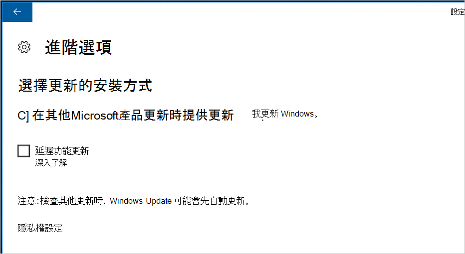 Windows 自動更新映像。