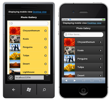 using-different-views-for-each-mobile-device2