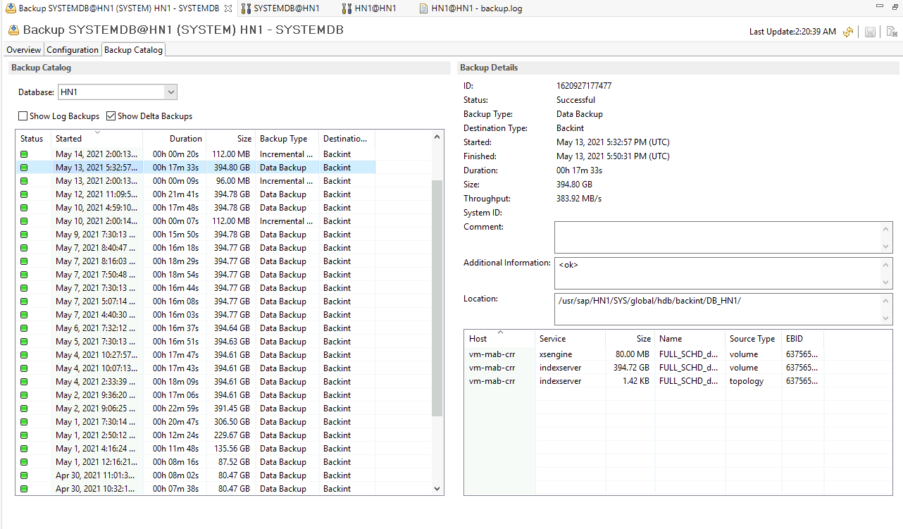 顯示 SAP HANA Native 用戶端中報表的螢幕快照。