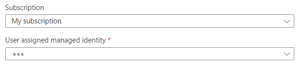 Azure 入口網站的螢幕擷取畫面，其中顯示使用者指派受控識別的基本驗證組態。