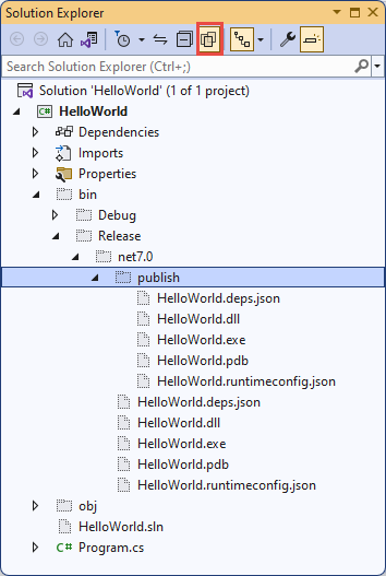 Solution Explorer showing published files