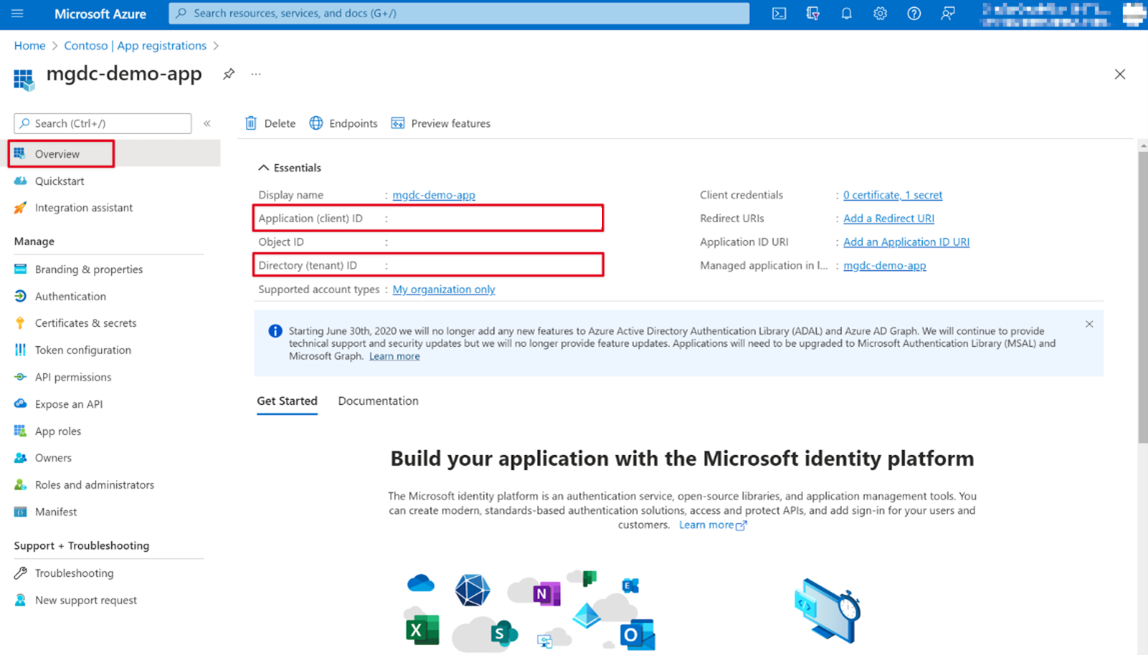 A screenshot that shows the application and tenant IDs.