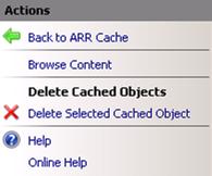 [刪除快取物件] 區段中[刪除選取的快取物件] 的 [動作] 窗格螢幕擷取畫面。