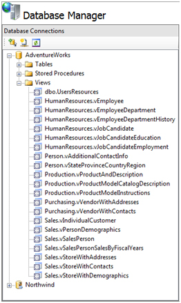 顯示 Database Manager 畫面部分的螢幕快照。[資料庫連接] 面板會顯示檢視清單。