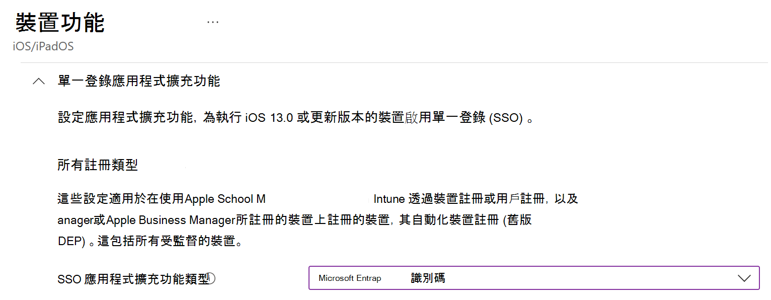 此螢幕快照顯示 Intune 中 iOS/iPadOS 的 SSO 應用程式延伸模組類型和Microsoft Entra ID。