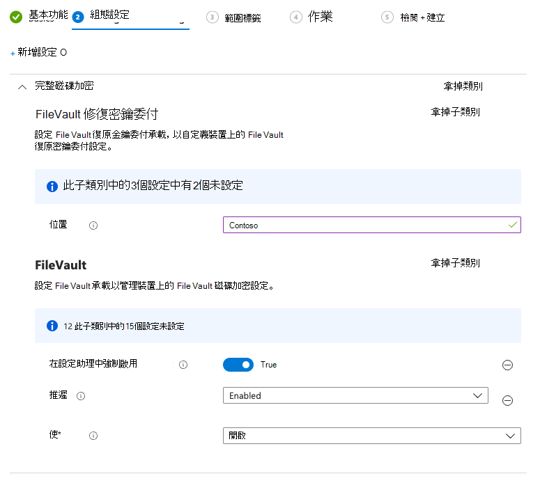 在安裝助理中啟用檔案保存庫所需設定的螢幕快照。