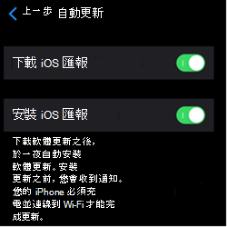 顯示 iOS/iPadOS Apple 裝置上自動更新設定的螢幕快照。