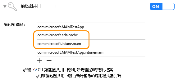 Intune App SDK iOS：金鑰鏈共用