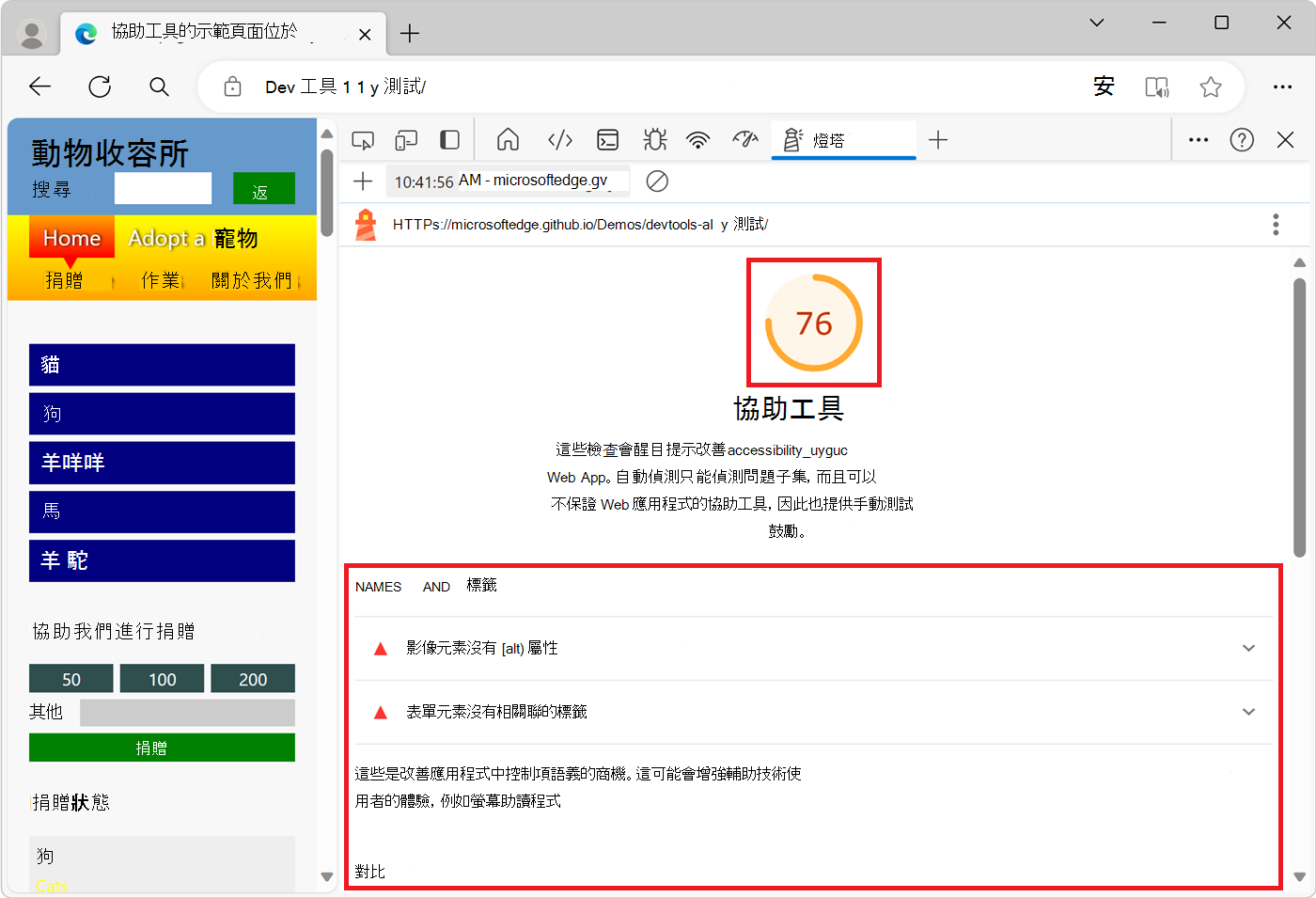 輔助功能類別目錄的 Lighthouse 報表