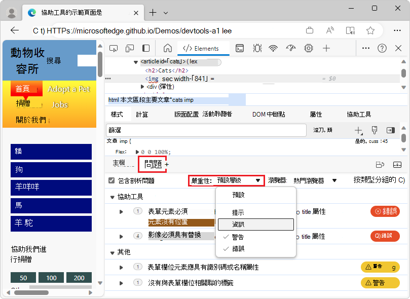 The Issues panel with the Severity dropdown list expanded, showing the different levels that can be selected