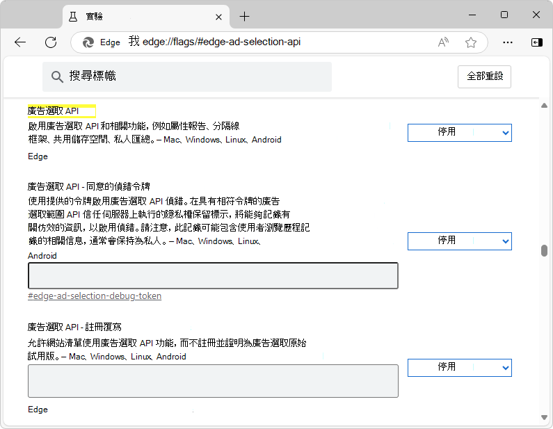 「廣告選取 API」旗標