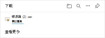 Microsoft Edge 的 [下載] 對話框中所列的跟證書檔案