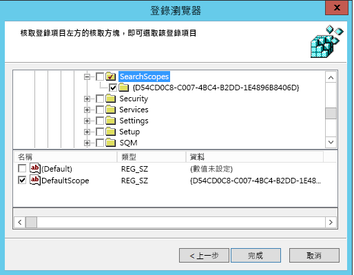 已選取 DefaultScope 的登錄瀏覽器。