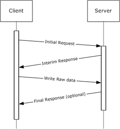 Write Raw request/response message flow