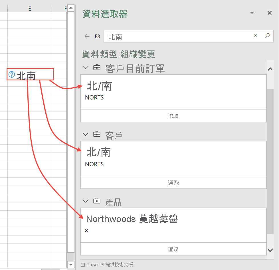 具有多種可能性的 Excel [資料選取器] 窗格其螢幕擷取畫面。