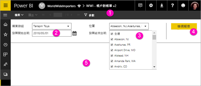 螢幕擷取畫面顯示具有參數的檢視編頁報告。