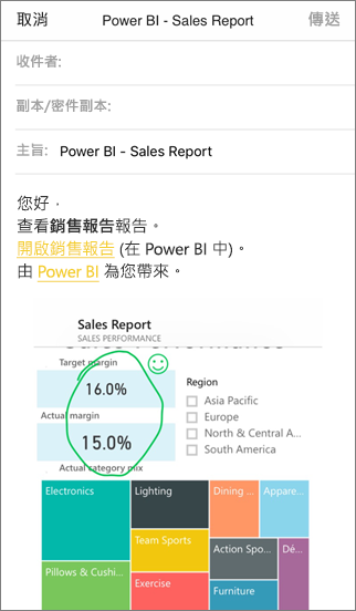 電子郵件中已註解的報表