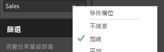 此螢幕擷取畫面顯示從欄位下拉式清單選取 [加總]。