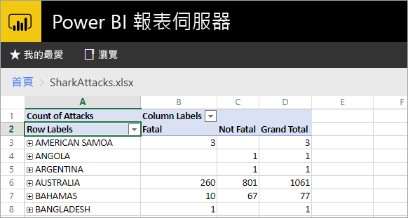 從報表伺服器 Web 入口網站檢視的 Excel 報表