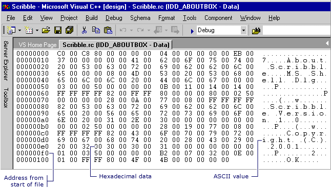 Visual Studio 二進位編輯器