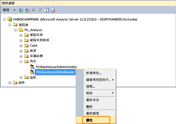 開啟 Tfs_Analysis 資料讀取器角色屬性