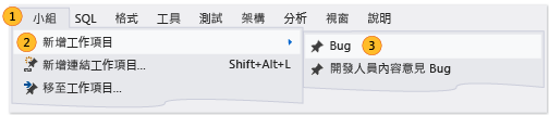 在 Visual Studio 中建立 Bug