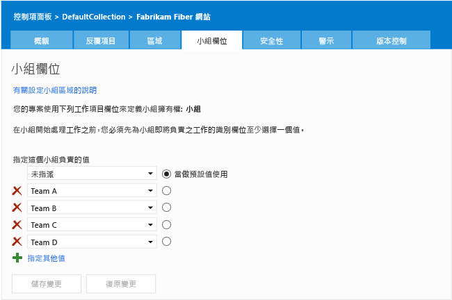 Team 專案管理內容的 [小組欄位] 頁面