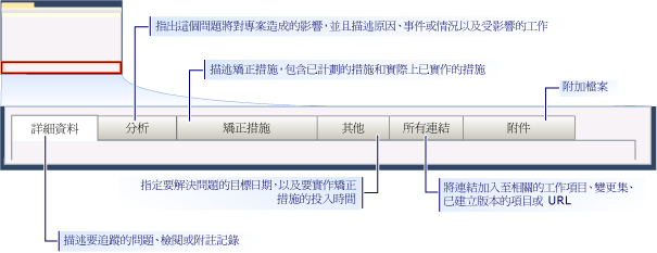 CMMI 問題工作項目表單 - 各個索引標籤