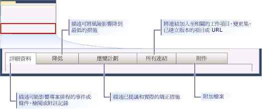 CMMI 風險工作項目表單 - 各個索引標籤