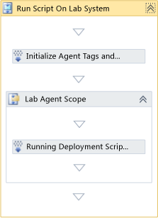 Run Script on Lab System activity