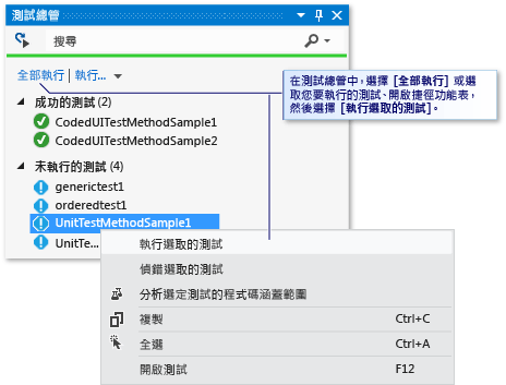 正在執行自動化測試的 [單元測試總管]